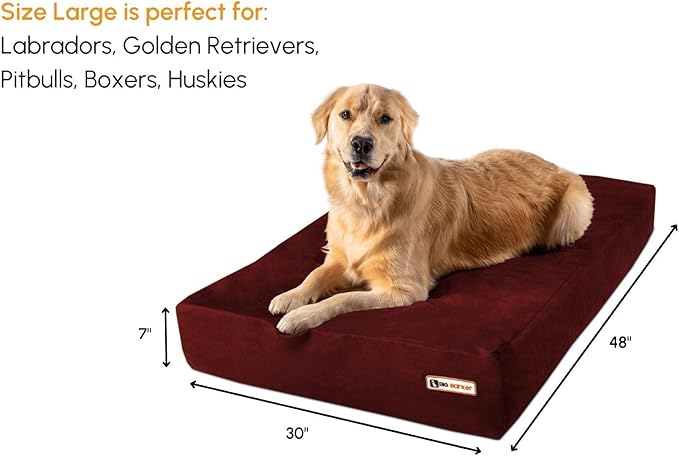 Barker Beds Large Orthopedic Dog Bed for Large Dogs - Premium 7" Thick Cushion with Washable Microsuede Cover - Durable XL Pet Bed - Made in USA (Burgundy)