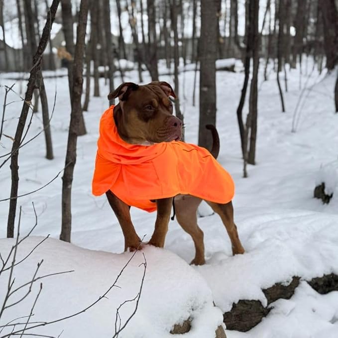 Spark Paws Dog Raincoat, Waterproof Windproof Rain Jacket, for Small Medium Large Extra Large Dogs, Reflective Breathable Full-Body Coverage Dry Suit - Orange - S