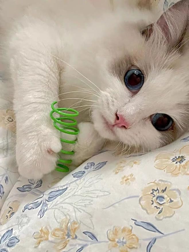 ISMARTEN Cat Spring Toy (100 Pack), Interactive Cat Exercise Toy for Indoor Cats, Multi-colored Plastic Coil for Kittens to Swat, Bite, Hunt