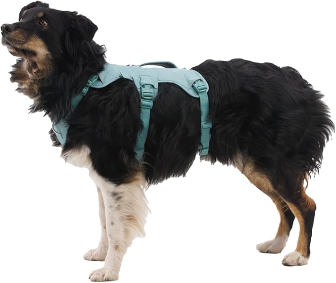 Ruffwear, Web Master, Multi-Use Support Dog Harness, Hiking and Trail Running, Service and Working, Everyday Wear, River Rock Green, Small