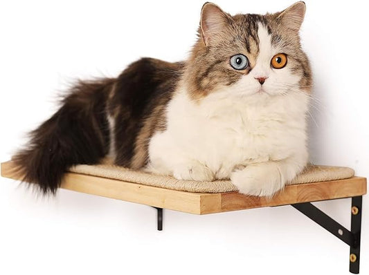 FUKUMARU Cat Wall Shelves, 16 x 10 Inch Cat Walls Furniture with Sisal Mat, Solid Rubber Wood Floating Shelf with Upgraded Installation, Kitten Wall Tree for Sleeping, Playing and Scratching