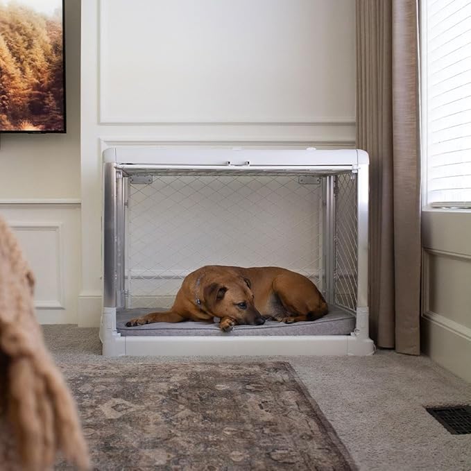 Diggs Snooz Memory Foam Dog Bed - Ideally Sized Revol Dog Crate Pad - Premium Orthopedic Pet Bed for Crate or Home - Grey, Large