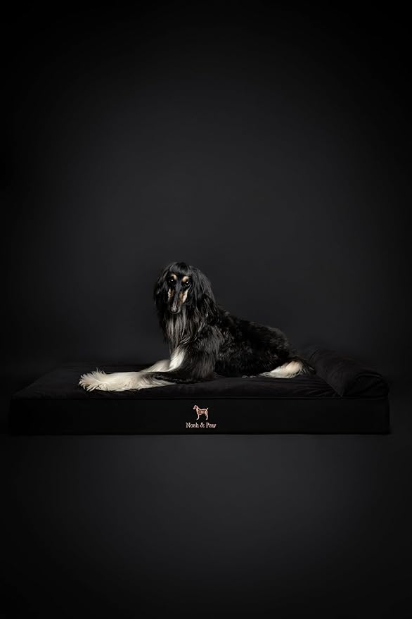 NOAH & PAW Giant Dog Bed XXL 55x45x9.5 Inch, Orthopedic Dog Beds, Eggshell Memory Foam Infused with Cooling Gel, Waterproof, Machine Washable, Includes Inner Cover (Denim Collection)