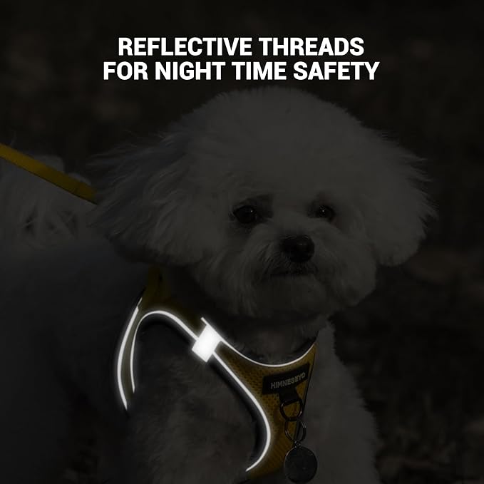 Dog Harness and Leash Set, Dog Harness for Dogs No Pull, No-Chock Step-in Reflective Breathable Lightweight Easy Walk Vest Harnesses with Safety Buckle for Small Medium Dogs, Cats (Yellow, M)