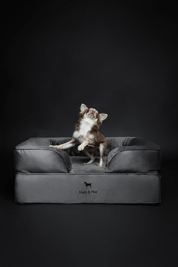 NOAH & PAW Dog Bed, 28x23x11 Inch, Orthopedic Dog Beds for Medium Size Pets, Eggshell Memory Foam Infused with Cooling Gel, Inner Cover, Waterproof, Machine Washable (Velvet Sofa Collection)