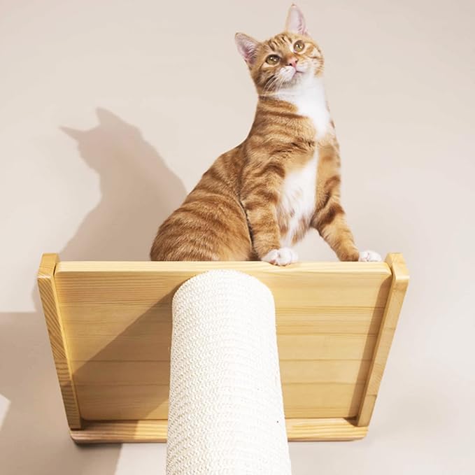 SHENGOCASE Modern 78.7“ Tall Leaning Cat Tree Tower Scratching Post Pillar with Bed Perch, Climbing Pole for Wall and Window, Wall Mounted Shelves