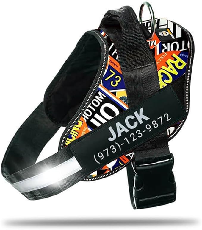 Personalized No-Pull Dog Harness with Name Patch, Adjustable, Reflective, Padded, Heavy Duty Pet Vest to Prevent Tugging, Pulling, or Choking, Training and Walking, Motorsport, L