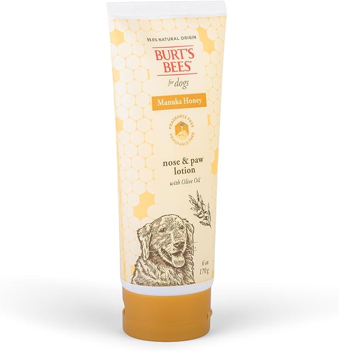 BURT'S BEES FOR PETS Paw & Nose Lotion for Dogs with Manuka Honey and Olive Oil, Soothes Dry Dog Paws -Naturally Derived Ingredients, 6 Oz