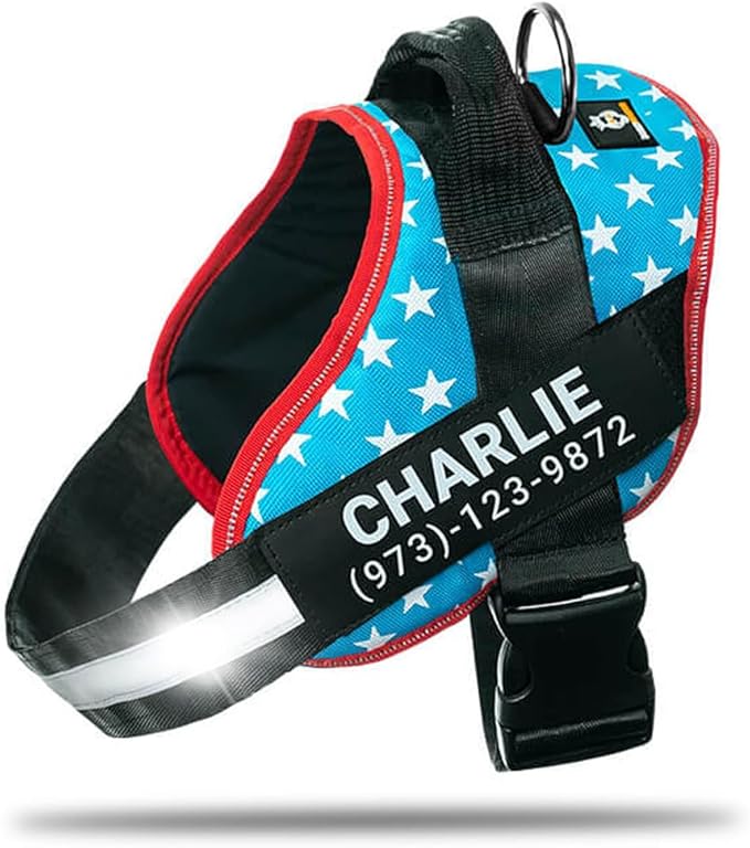 Personalized No-Pull Dog Harness with Name Patch, Adjustable, Reflective, Padded, Heavy Duty Pet Vest to Prevent Tugging, Pulling, or Choking, Training and Walking, Light Blue, 2XL