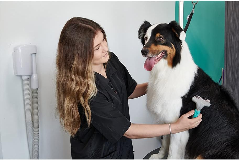 Dematting Brush for Dogs, Double Row Undercoat Fur Rake, Effective Deshedding Rake for Thick Coats, Professional Pet Grooming Tool