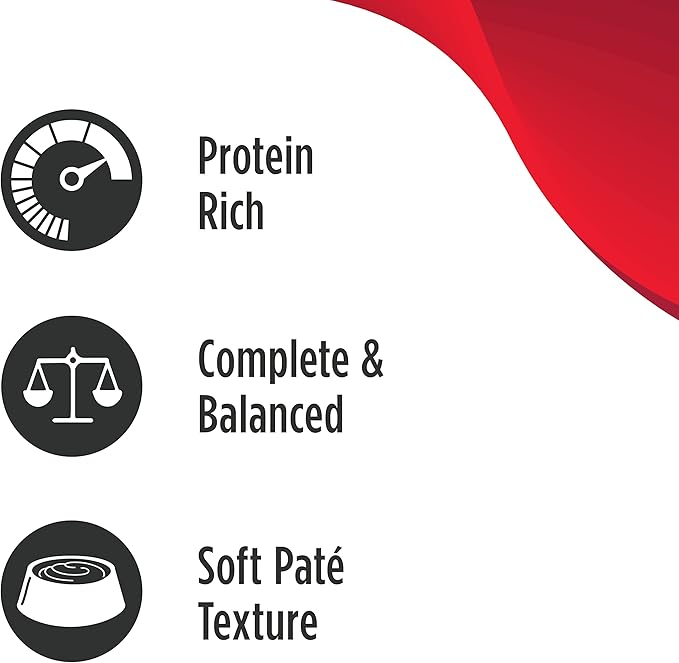 Nulo Freestyle Cat & Kitten Wet Pate Canned Cat Food,Premium All Natural Grain-Free, with 5 High Animal-Based Proteins and Vitamins to Support a Healthy Immune System and Lifestyle 2.8 oz (Pack of 12)