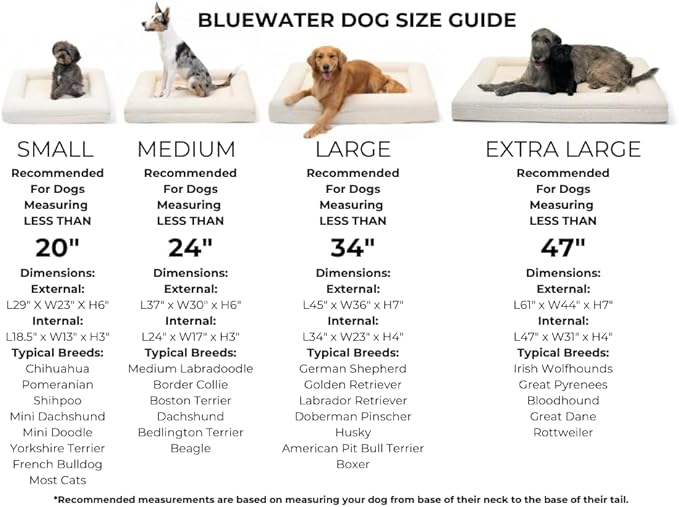 Luxury Boucle Orthopedic Memory Foam Dog Bed with Waterproof Liner and Machine Washable Cover with YKK Zippers (Small, 29" L x 23" W x 6" Th, Sand)