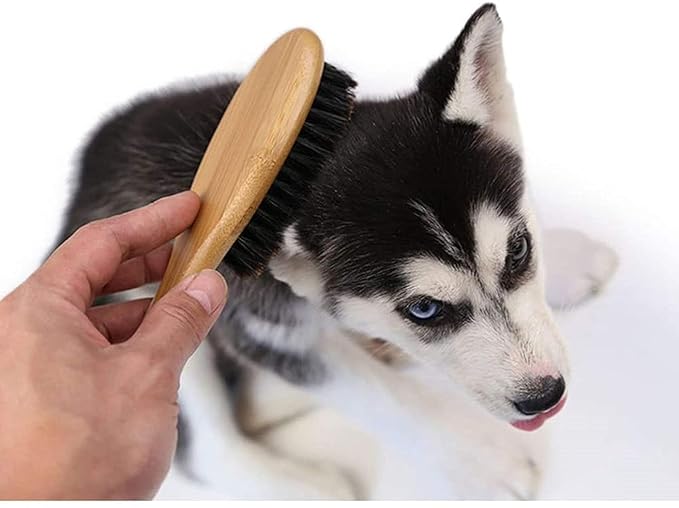 Cat & Dog Brush with Boar Bristle, Professional Grade Daily Grooming Hairbrush for Soft Hair and Healthy Shine, Short Haired Dogs Hair Brush for Reducing Shedding with Brush Cleaner