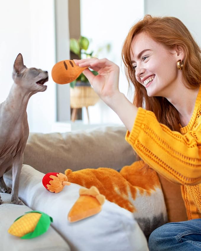 CiyvoLyeen 6pcs Thanksgiving Catnip Toys Plush Cat Chew Bite Resistant Toys Interactive Boredom Relief Teeth Cleaning Kitten Toys for Fall Thanksgiving Cat Lover Gift