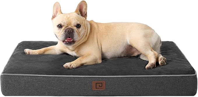 EHEYCIGA Waterproof Dog Bed Memory Foam 30x20, Orthopedic Dog Beds Mat for Medium Dogs with Removable Cover, Dark Grey