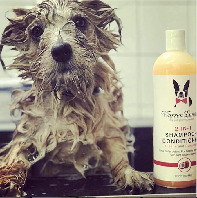 Warren London 2in1 Pet Shampoo and Conditioner for Dogs, Puppys, & Cats | Best Dog Shampoo and Conditioner for Dry Itchy Skin | Dandruff Shampoo for Dogs | Dog Shampoo Gallon Size