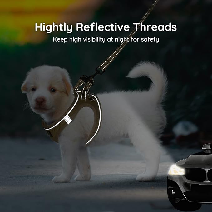 BELLA & PAL Step in Vest Harness for Small and Medium Dogs, No Pull Small Dog Harness with Leash Set, Comfortable Air Mesh Dog Vest Harness with Reflective Strip (Khaki, M)