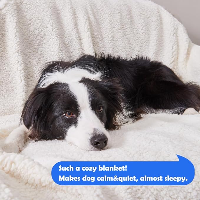 Qeils Waterproof Blanket for Bed Intimacy, Dog Blankets for Large Dogs, Waterproof Cat Blanket Washable, Soft Sherpa Fleece Puppy Blanket, Reversible Throw Protector for Couch Car, 50"X60", Grey