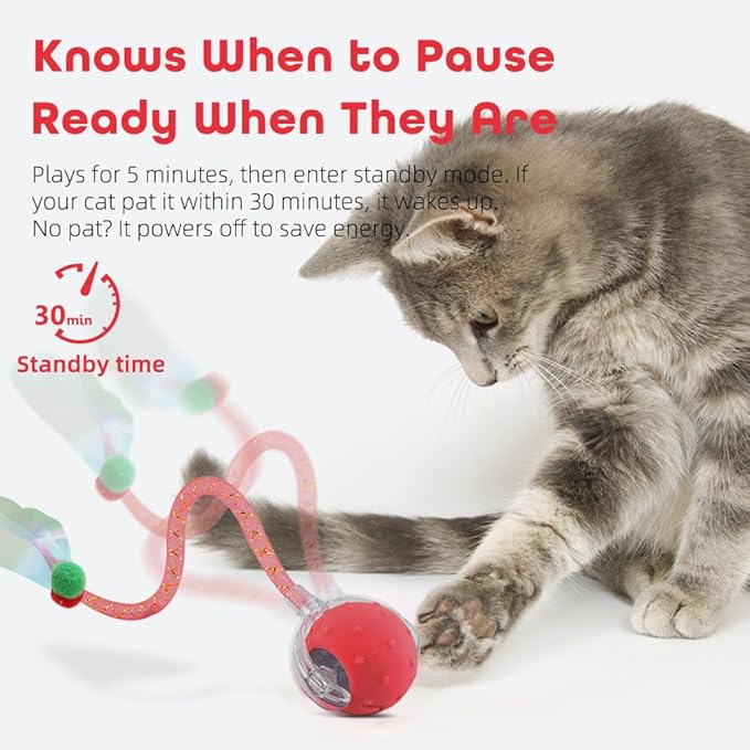 Interactive Cat Toys Ball for Indoor Cats with Elastic Mesh Net Tails – 3 Working Modes for Agile Movement, Motion Activated, USB-C Rechargeable, Ideal for Indoor Cats (Red)