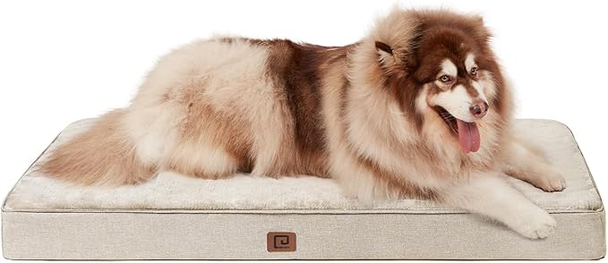 EHEYCIGA Waterproof Dog Bed Memory Foam 41x27, Orthopedic Dog Beds Mat for Gaint Dogs with Removable Cover, Beige
