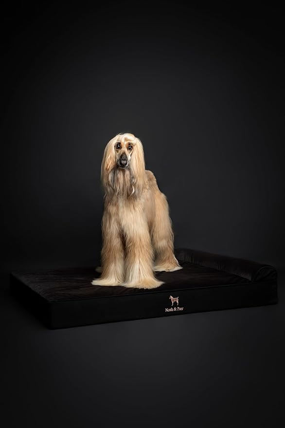 NOAH & PAW Giant Dog Bed XXL 55x45x9.5 Inch, Orthopedic Dog Beds, Eggshell Memory Foam Infused with Cooling Gel, Waterproof, Machine Washable, Includes Inner Cover (Denim Collection)