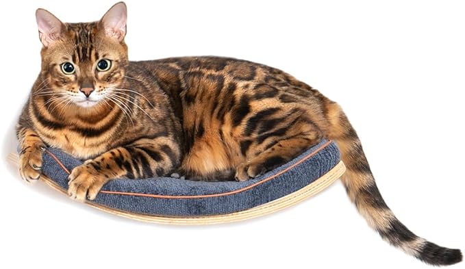 Cat Wall Shelves,Cat Wall Steps and Perch,Stairs,Ladders,Nest,Bed,Modern Wooden Floating Climbing Furniture for Hopping and Sleeping,with Scratching Cushion (Perch)