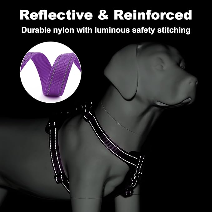 Plutus Pet Adjustable No Pull Dog Harness with Leather Accents, Heavy Duty Reflective Nylon Vest for Training, Hiking, Easy Walk Harness for Small, Medium, Large Dogs (Purple, S)