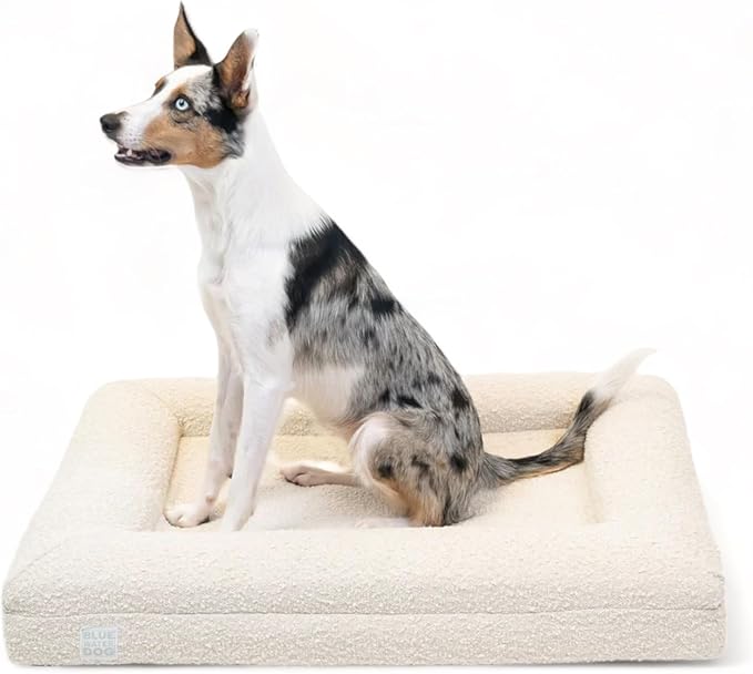 Luxury Boucle Orthopedic Memory Foam Dog Bed with Waterproof Liner and Machine Washable Cover with YKK Zippers (Medium 37" L x 30" W x 6" Th, Cloud)