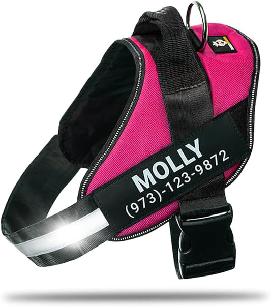 Personalized No-Pull Dog Harness with Name Patch, Adjustable, Reflective, Padded, Heavy Duty Pet Vest to Prevent Tugging, Pulling, or Choking, Training and Walking, Rose Red, M