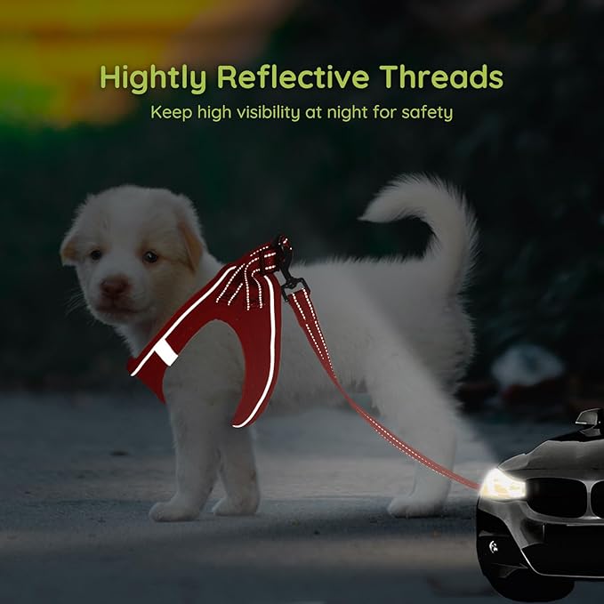 BELLA & PAL Step in Vest Harness for Small and Medium Dogs, No Pull Small Dog Harness with Leash Set, Comfortable Air Mesh Dog Vest Harness with Reflective Strip (Red, XS)