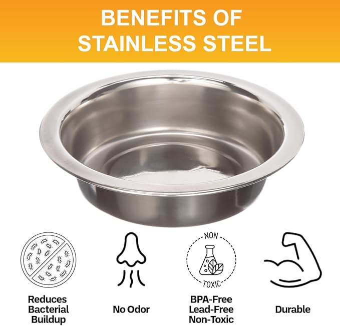 Neater Pet Brands 1 Cup (8 oz.) Shallow Stainless Steel Cat Bowls, 1 Single Neater Feeder Replacement Bowl (Express & Deluxe), Metal Cat Dishes for Food and Water, Whisker Friendly, Dishwasher Safe