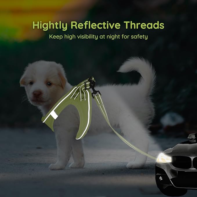 BELLA & PAL Step in Vest Harness for Small and Medium Dogs, No Pull Small Dog Harness with Leash Set, Comfortable Air Mesh Dog Vest Harness with Reflective Strip (Avocado Green, S)