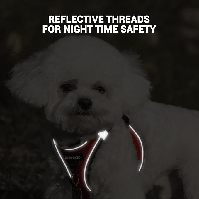 Dog Harness and Leash Set, Dog Harness for Dogs No Pull, No-Chock Step-in Reflective Breathable Lightweight Easy Walk Vest Harnesses with Safety Buckle for Small Medium Dogs, Cats (Red, L)