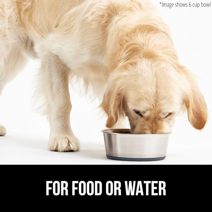 GORILLA GRIP Stainless Steel Metal Dog Bowl, Rubber Base, Heavy Duty Feeding Dish, Food Grade BPA Free, Less Sliding on Floors, Quiet Pet Bowl for Cats and Dogs, Holds 2 Cups (16 fl oz), Gray