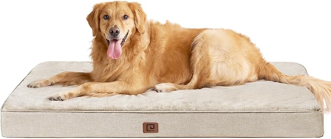 EHEYCIGA Waterproof Dog Bed Memory Foam 41x27, Orthopedic Dog Beds Mat for Extra Large Dogs with Removable Cover, Beige