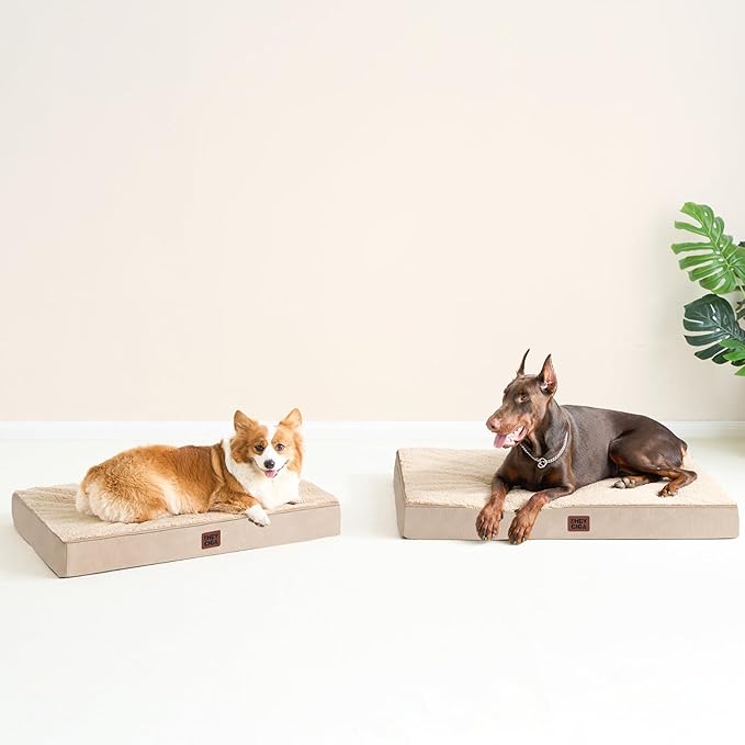 EHEYCIGA Orthopedic Dog Beds for Large Dogs with Removable Washable Cover, Khaki, 36x27