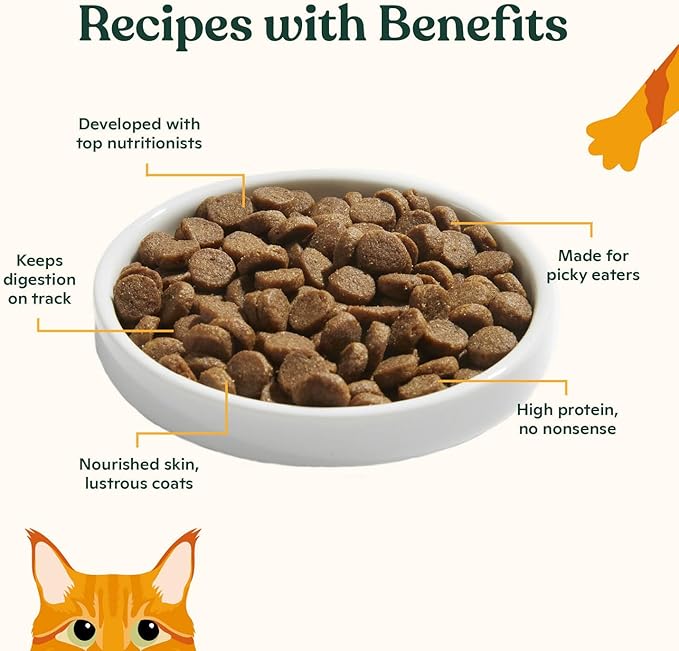 Made by Nacho Dry Cat Kibble 4lb Bag, High Protein and Grain-Friendly Premium Cat Food, Cage-Free Chicken & Pumpkin Recipe, Infused with Bone Broth for Hydration, Limited Ingredients, Single Bag