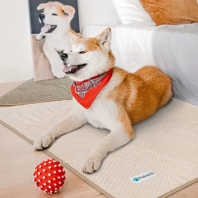 PetAmi Waterproof Dog Blanket, Leakproof XL Pet Blanket for Large Dogs, Furniture Sofa Couch Cover Protector, Fleece Cat Throw Bed Crate Kennel, Reversible Washable Soft Plush, Twin 60x80 Taupe Beige