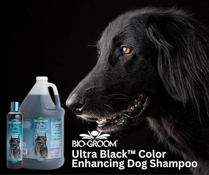 Bio-Groom Ultra-Black Dog Shampoo - Color Enhancing Pet Shampoo, Dog Bathing Supplies, Puppy Wash, Grooming Supplies, Cruelty-Free, Made in USA, Coat Brightener - 1 Gallon