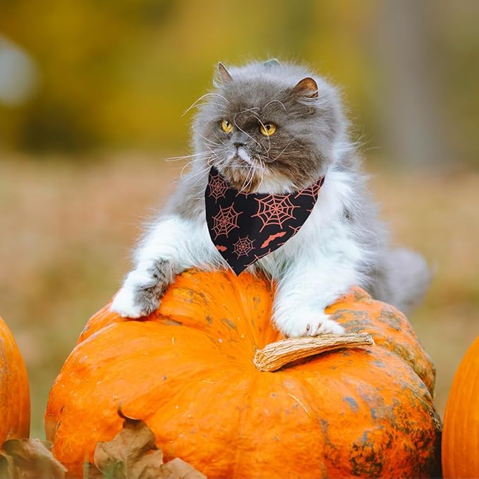 Kytely Halloween Dog Bandanas 2 Pack, Reversible Triangle Dog Bandanas for Boy and Girl, Multiple Sizes Offered, Pumpkin and Spider Web Bibs Fall Pet Scarf, Premium Durable Fabric (Small)