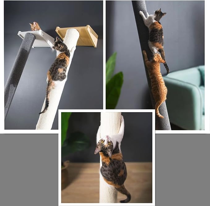 SHENGOCASE Modern 78.7“ Tall Leaning Cat Tree Tower Scratching Post Pillar with Bed Perch, Wall Mounted Cat Shelves for Window (Sisal Cover)