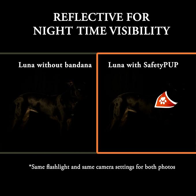 Bandana for Dogs. Blaze Orange Scarf with Reflective Collar is a Perfect Pet Bandana for Girl and Boy Dogs. Enhance Your Dog Walking Accessories with Our High-Visibility Adjustable Dog Handkerchief