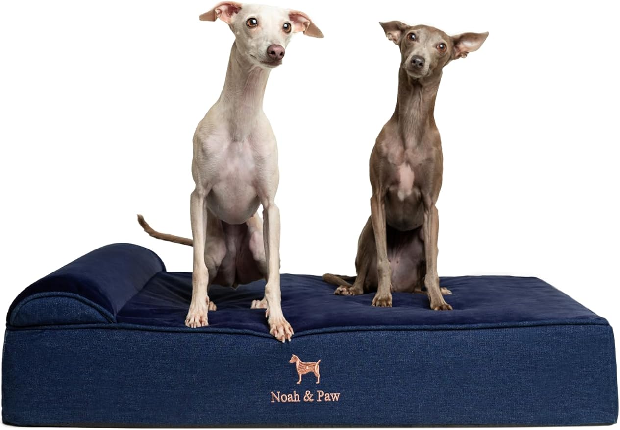 NOAH & PAW Large Dog Bed, 35x25x8.7 Inch, Orthopedic Dog Beds, Eggshell Memory Foam Infused with Cooling Gel, Waterproof, Machine Washable, Includes Inner Cover (Denim Collection)