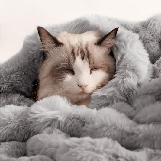 Dog Blanket Ultra Soft Fuzzy Faux Fur Cat Blankets for Indoor Cats Ultra Soft Plush Faux Fur Machine Washable Reversible Pet Throw Protector for Couch Furniture 39"X 30" Grey