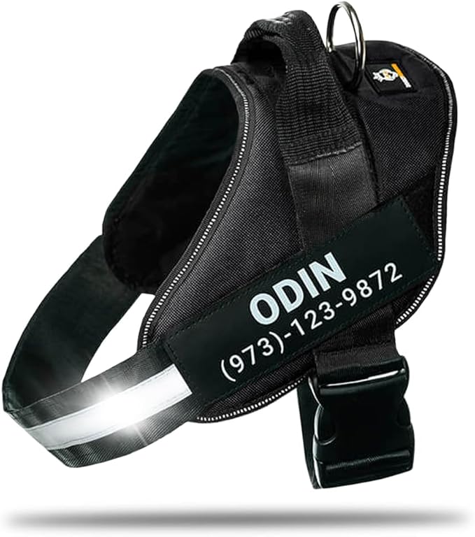 Personalized No-Pull Dog Harness with Name Patch, Adjustable, Reflective, Padded, Heavy Duty Pet Vest to Prevent Tugging, Pulling, or Choking, Training and Walking, Black, M