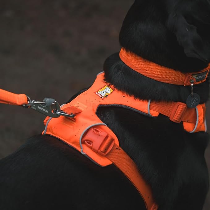 Ruffwear, Front Range Dog Harness, Reflective Soft Padded Everyday Harness with Dual Leash Clips, Adjustable and Lightweight Fit for Training or Walking for All Dogs, Blaze Orange, XX-Small