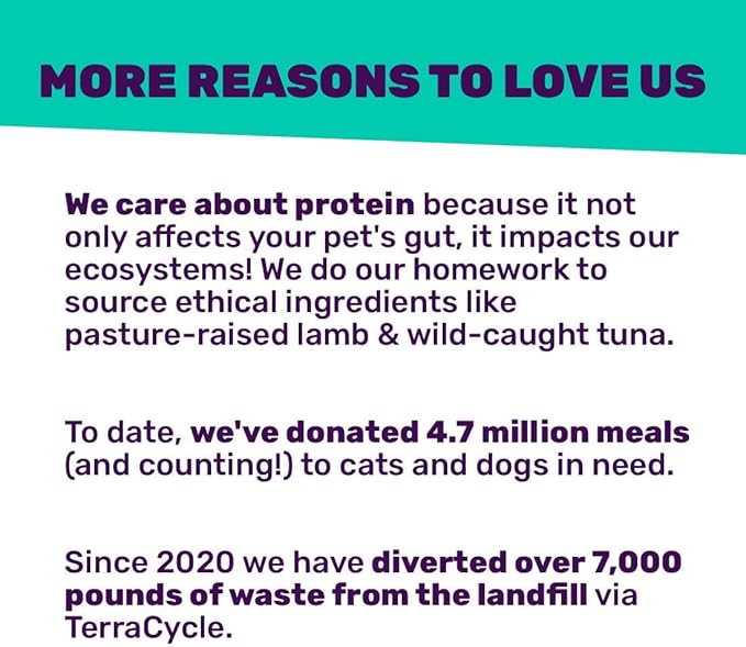 I and love and you Wet Cat Food - Oh My Cod Pâté - Cod Recipe, Grain Free, Filler Free, 5.5oz Pack of 12 Cans