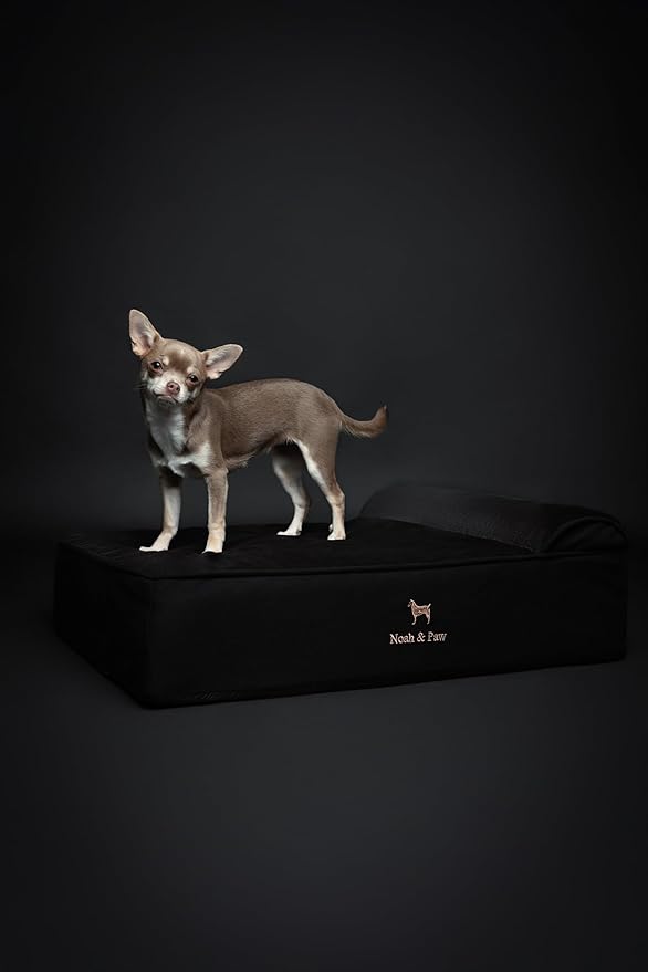 NOAH & PAW Dog Bed, 28x23x7.5 Inch, Orthopedic Dog Beds for Medium Size Pets, Eggshell Memory Foam Infused with Cooling Gel, Waterproof, Machine Washable, Includes Inner Cover (Denim Collection)