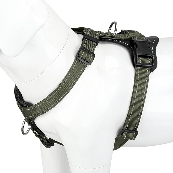 Plutus Pet Adjustable No Pull Dog Harness with Leather Accents, Heavy Duty Reflective Nylon Vest for Training, Hiking, Easy Walk Harness for Small, Medium, Large Dogs (Ranger Green, M)