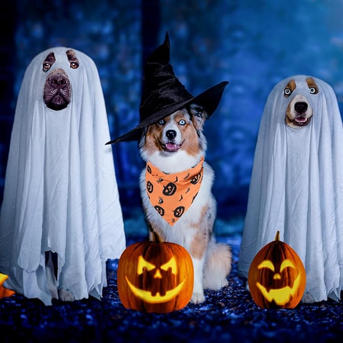 Kytely Halloween Dog Bandanas 2 Pack, Reversible Triangle Dog Bandanas for Boy and Girl, Multiple Sizes Offered, Pumpkin and Spider Web Bibs Fall Pet Scarf, Premium Durable Fabric (Large)